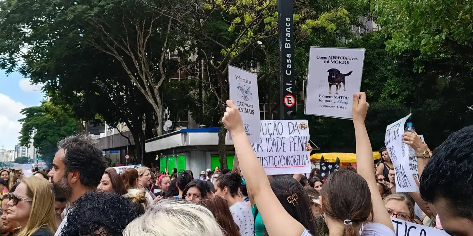 Centenas de pessoas em São Paulo pedem justiça pelo cão