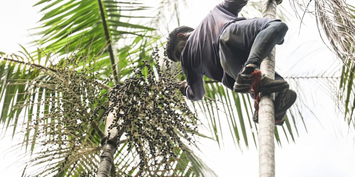 Governo investe R$ 132 milhões em regularização fundiária na Amazônia