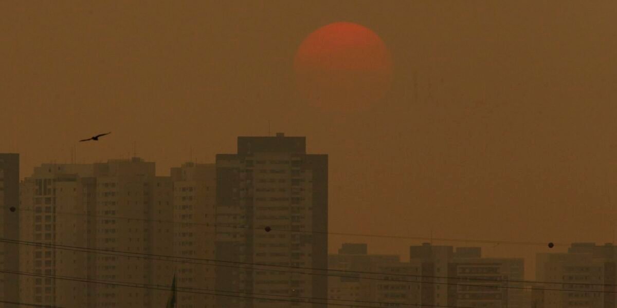 Sensor do ar de baixo custo será lançado no Acampamento