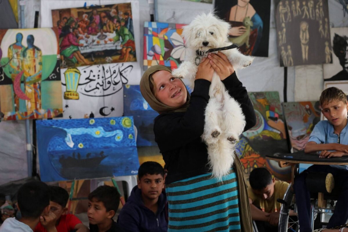 Crianças de Gaza voltam a sorrir após terapia com animais