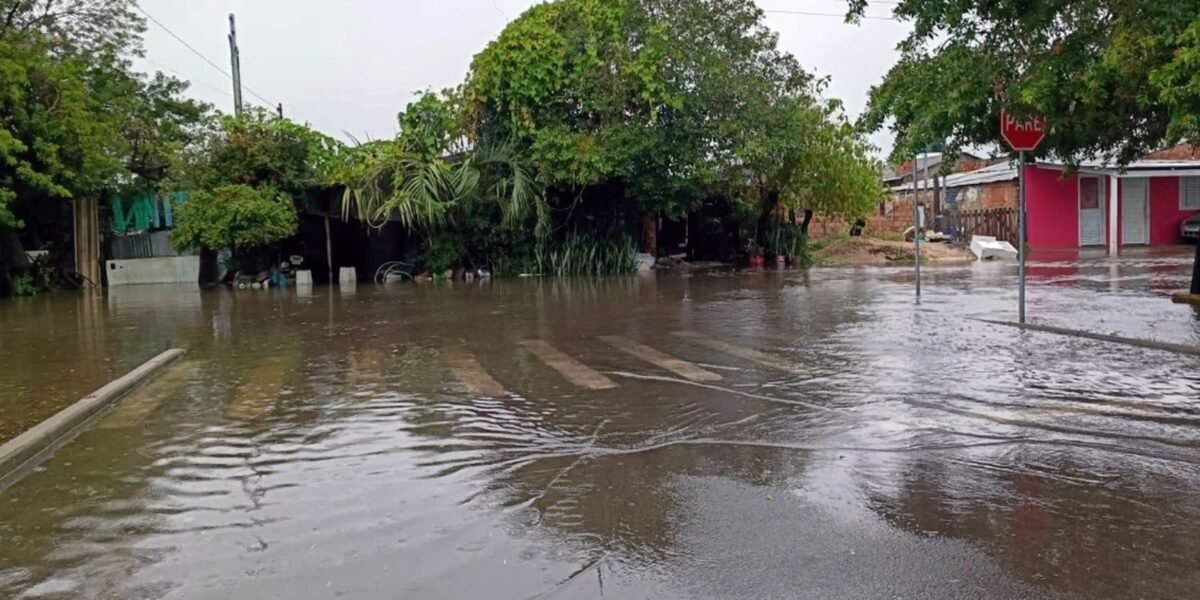 Temporal no RS deixa desalojados e provoca danos em 19