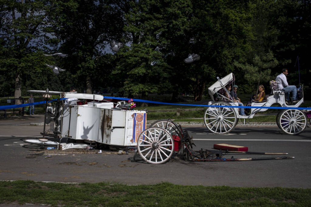 Homem morre ao cair de carruagem no Central Park, em
