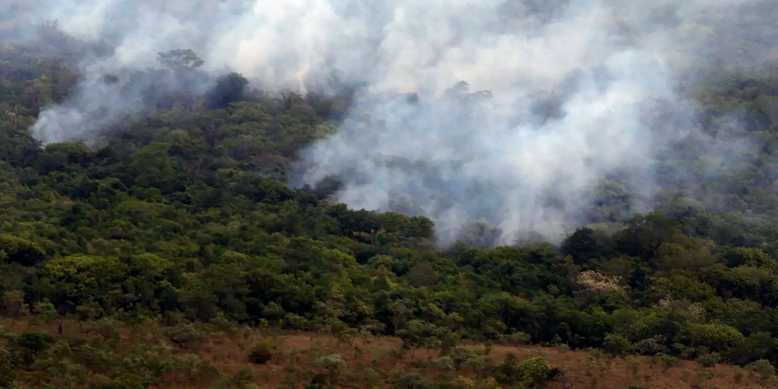 Copernicus: emissão global de gases por incêndios é a menor
