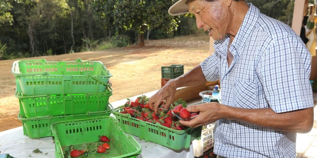 Finep vai pagar R$ 220 milhões para inovações em agricultura