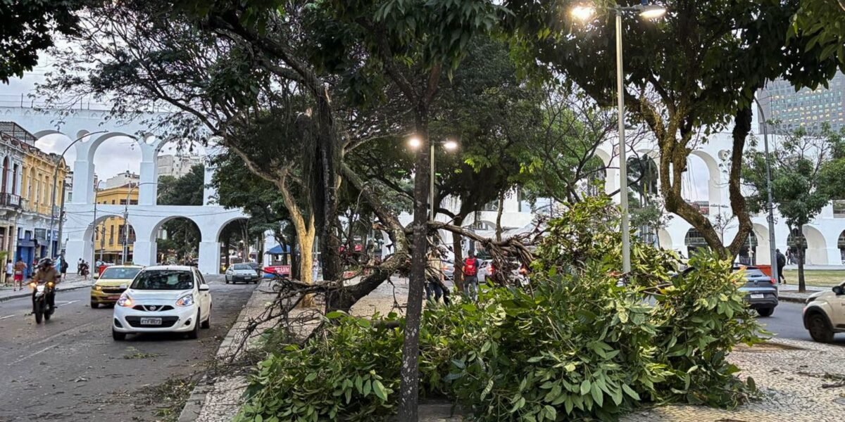 Meteorologistas dizem que não é possível associar ventanias ao El