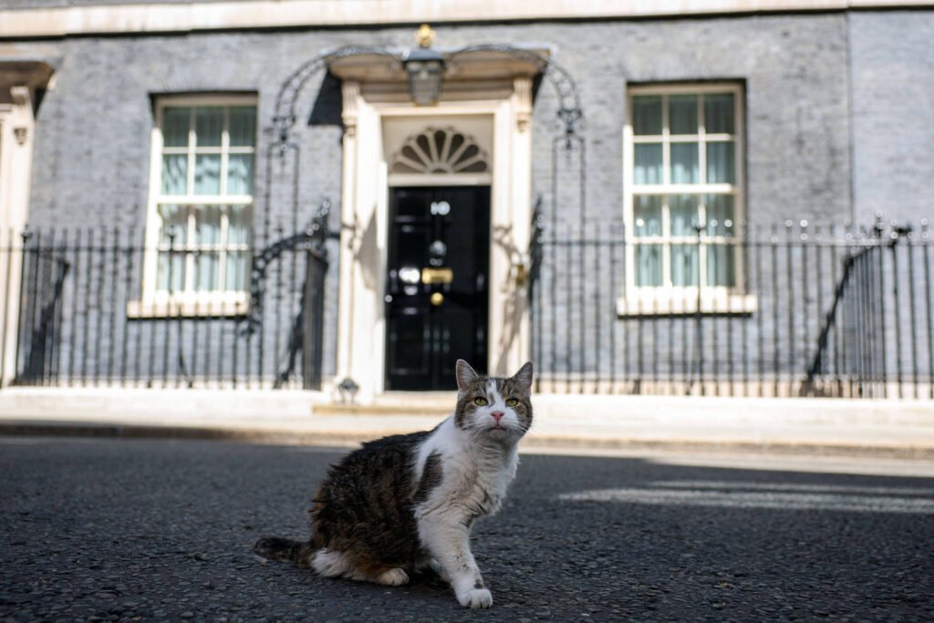Quem é Andy Burnham na fila do gato Larry -