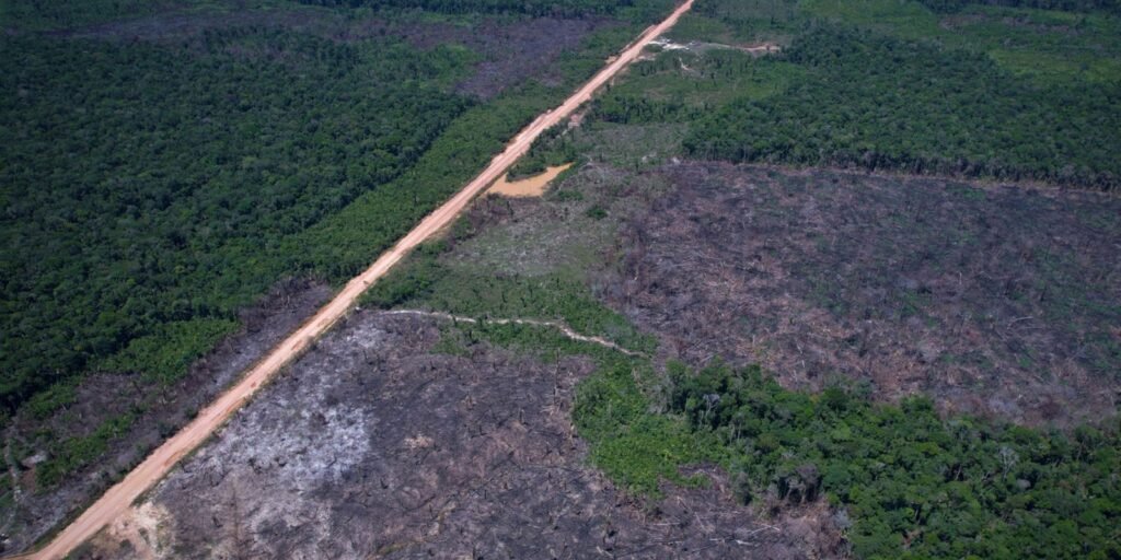 Desmatamento na Amazônia cai 36,87% no último ano