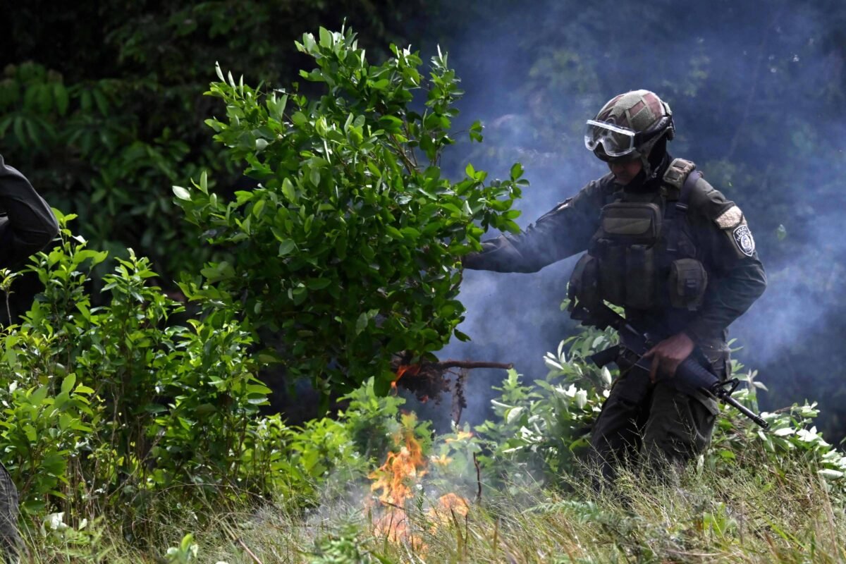EUA e Colômbia vão realizar ações conjuntas antidrogas - 12/08/2026