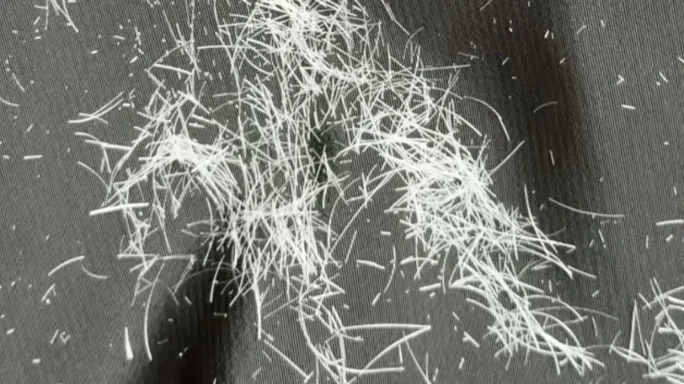 naom_6a782ea08510f.webp.webp